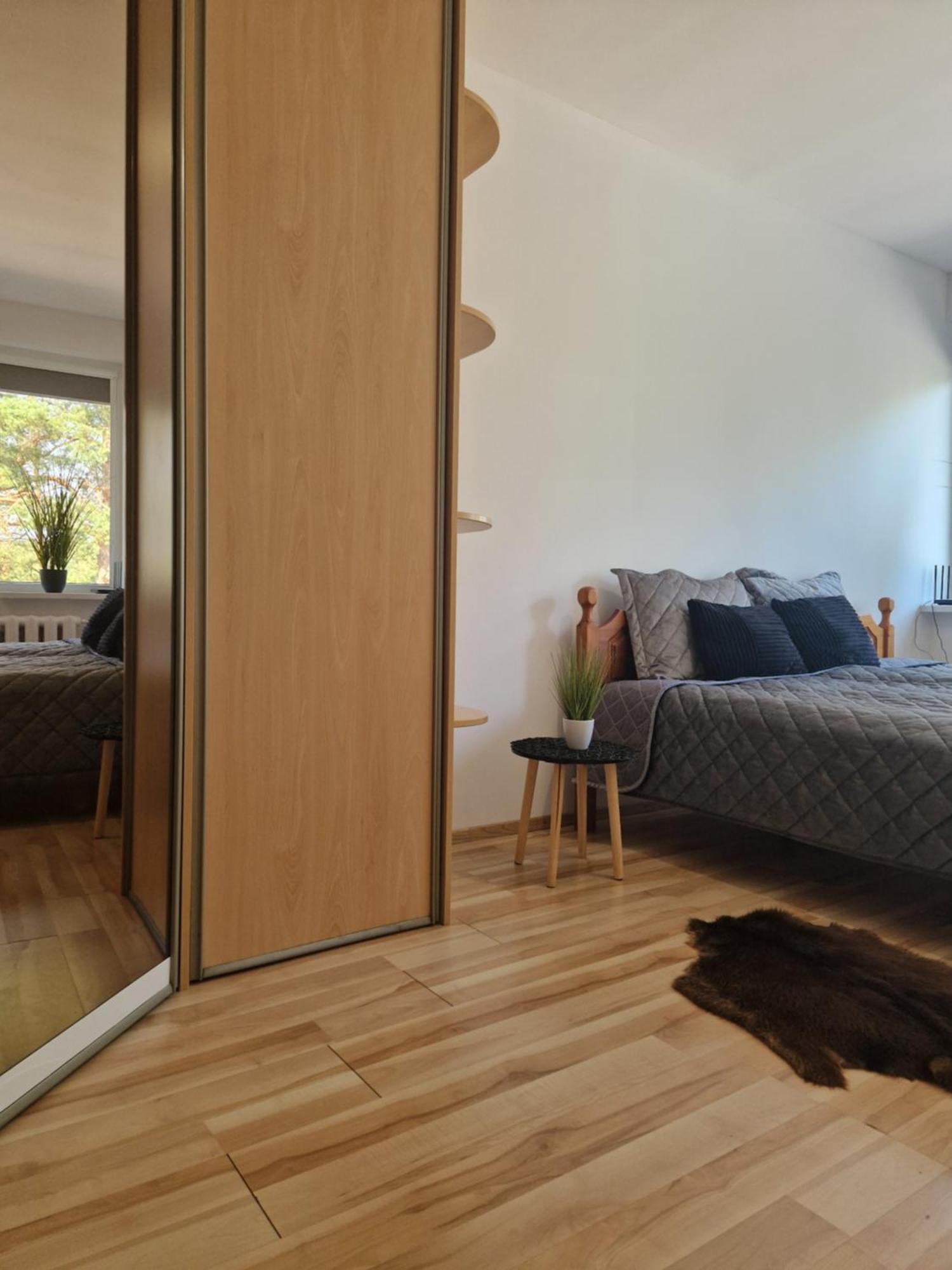 Duplex Apartment Vilte Друскининкай Экстерьер фото