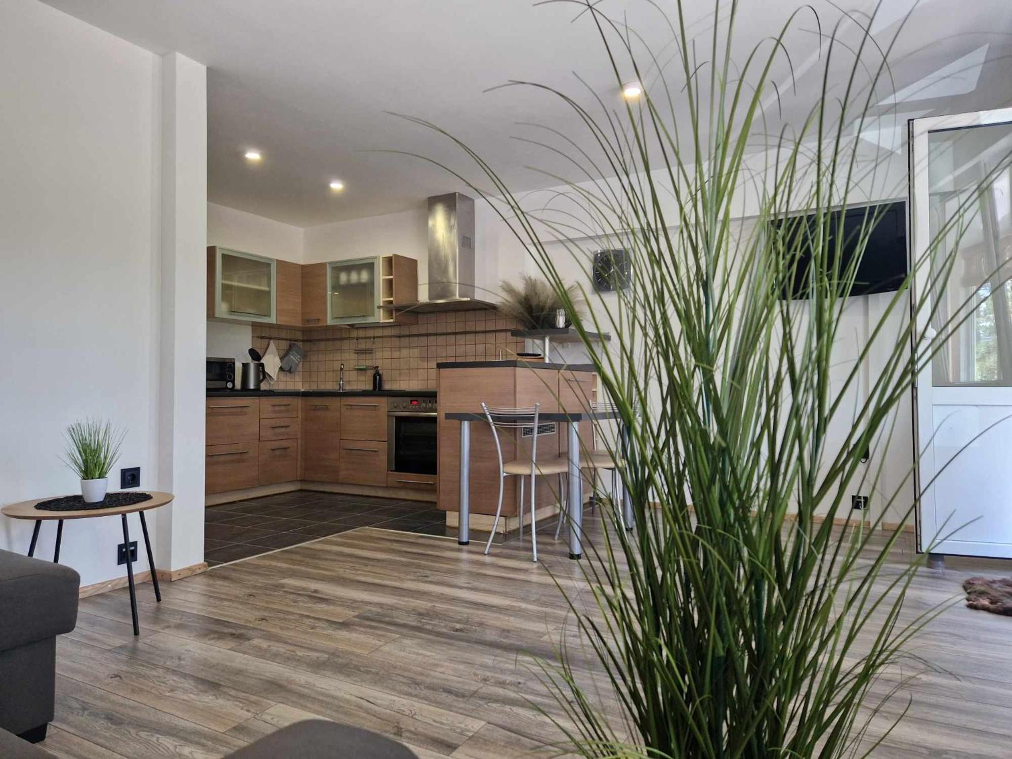 Duplex Apartment Vilte Друскининкай Экстерьер фото