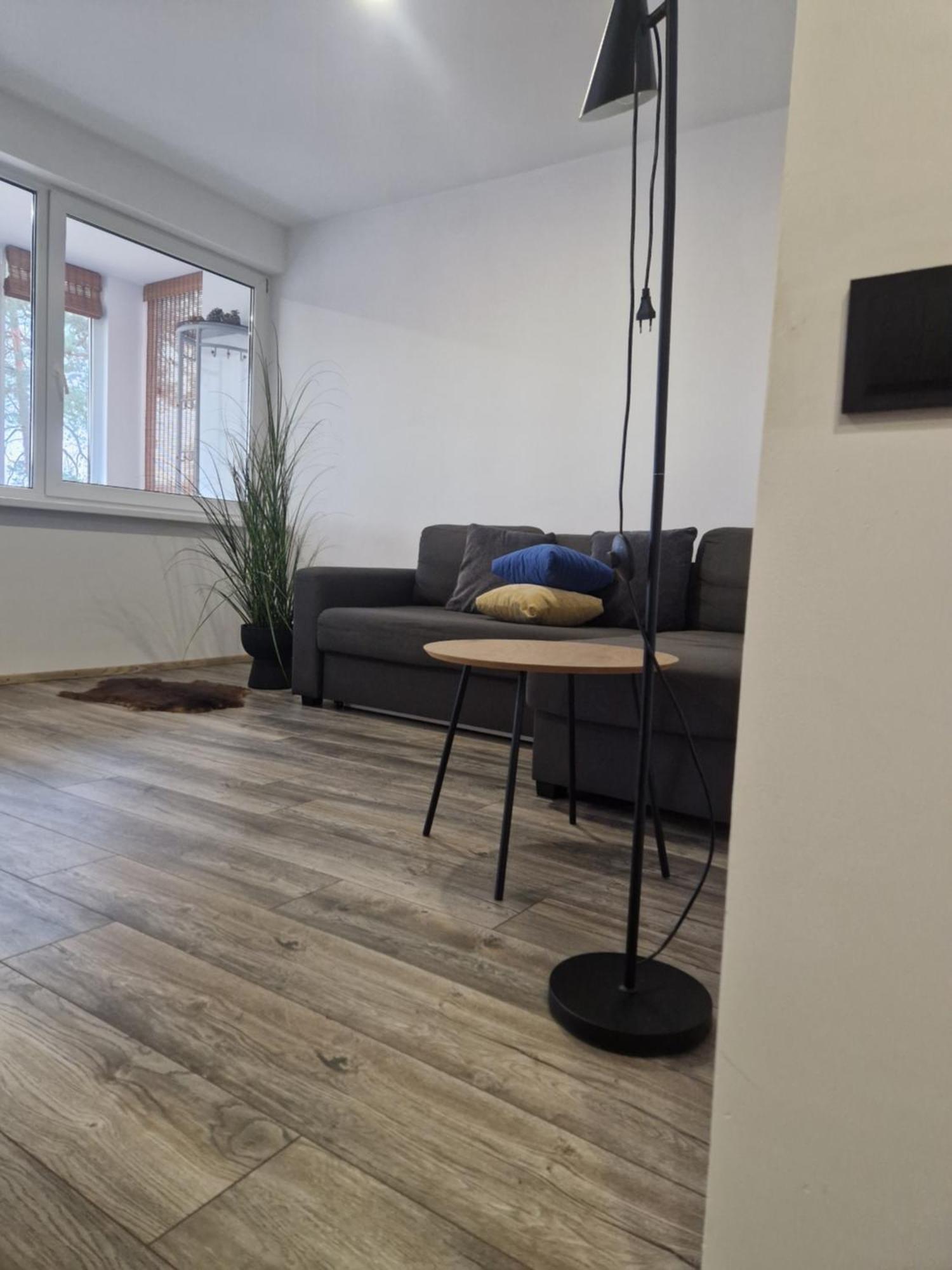 Duplex Apartment Vilte Друскининкай Экстерьер фото